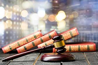 Gavel and Law Books Image